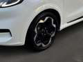 Ford Puma Premium 43kWh Matrix-LED+KEY-Free+B&O Weiß - thumbnail 6