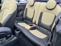 MINI Cooper Cabrio LED NAVI HUD RFK H/K APPLECAR Grün - thumbnail 15