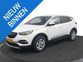 Opel Grandland X 1.2 Turbo Business Executive Rijklaarprijs! Trekha Wit - thumbnail 1