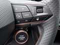 CUPRA Formentor 2.0 TDI | LED AHK RFK ACC Navi App Grau - thumbnail 21