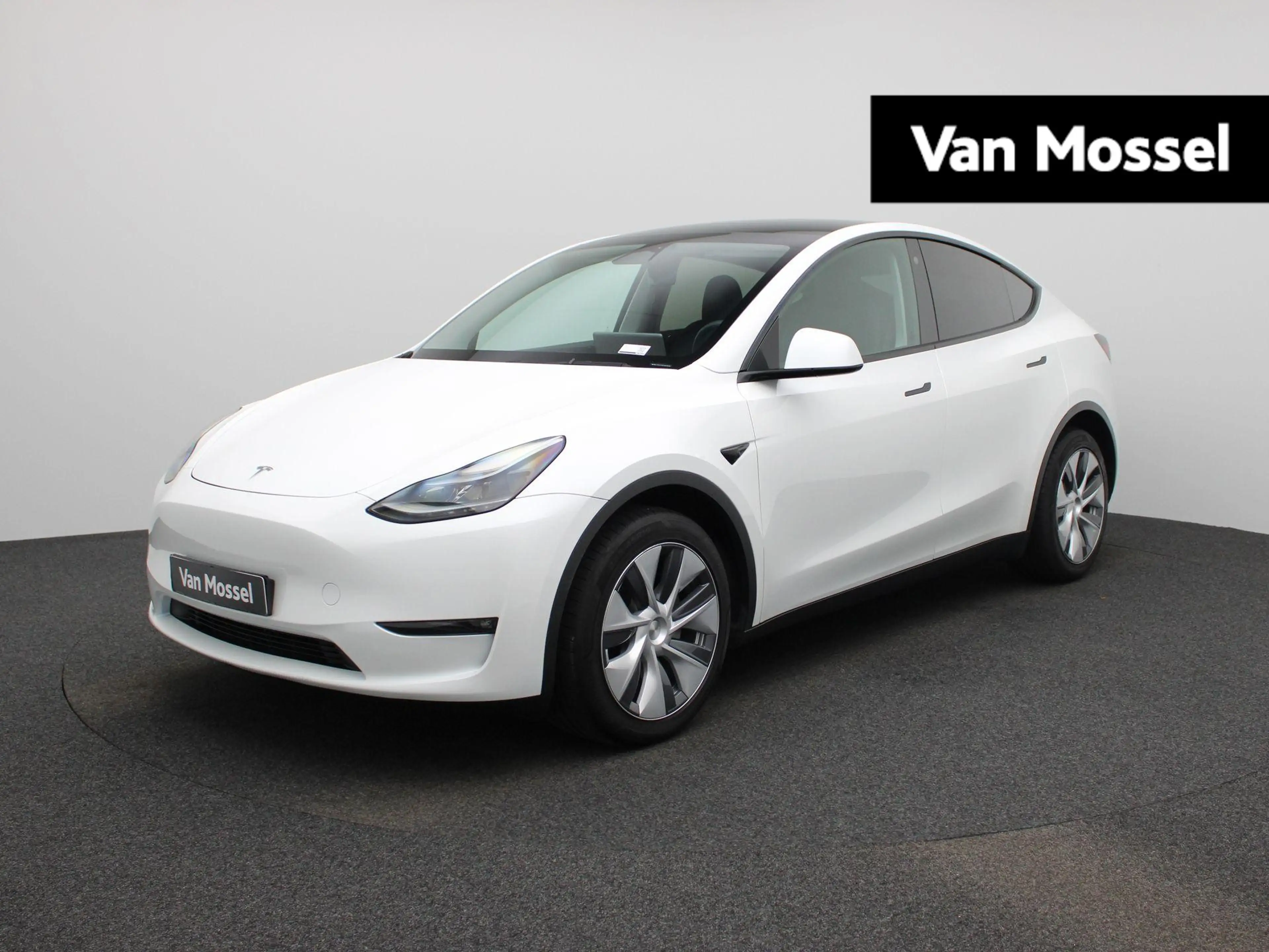 Tesla Model Y Long Range AWD 75 kWh | PANO | CAMERA | ACC | LEDE