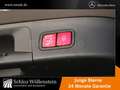 Mercedes-Benz GLA 250 Progressive/LED/AHK/Fahrass/Keyless/360 Grau - thumbnail 10