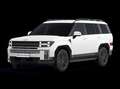 Hyundai SANTA FE 1,6 T-GDi PHEV 4WD 6AT Calligraphy - 7 Sitze - Weiß - thumbnail 7