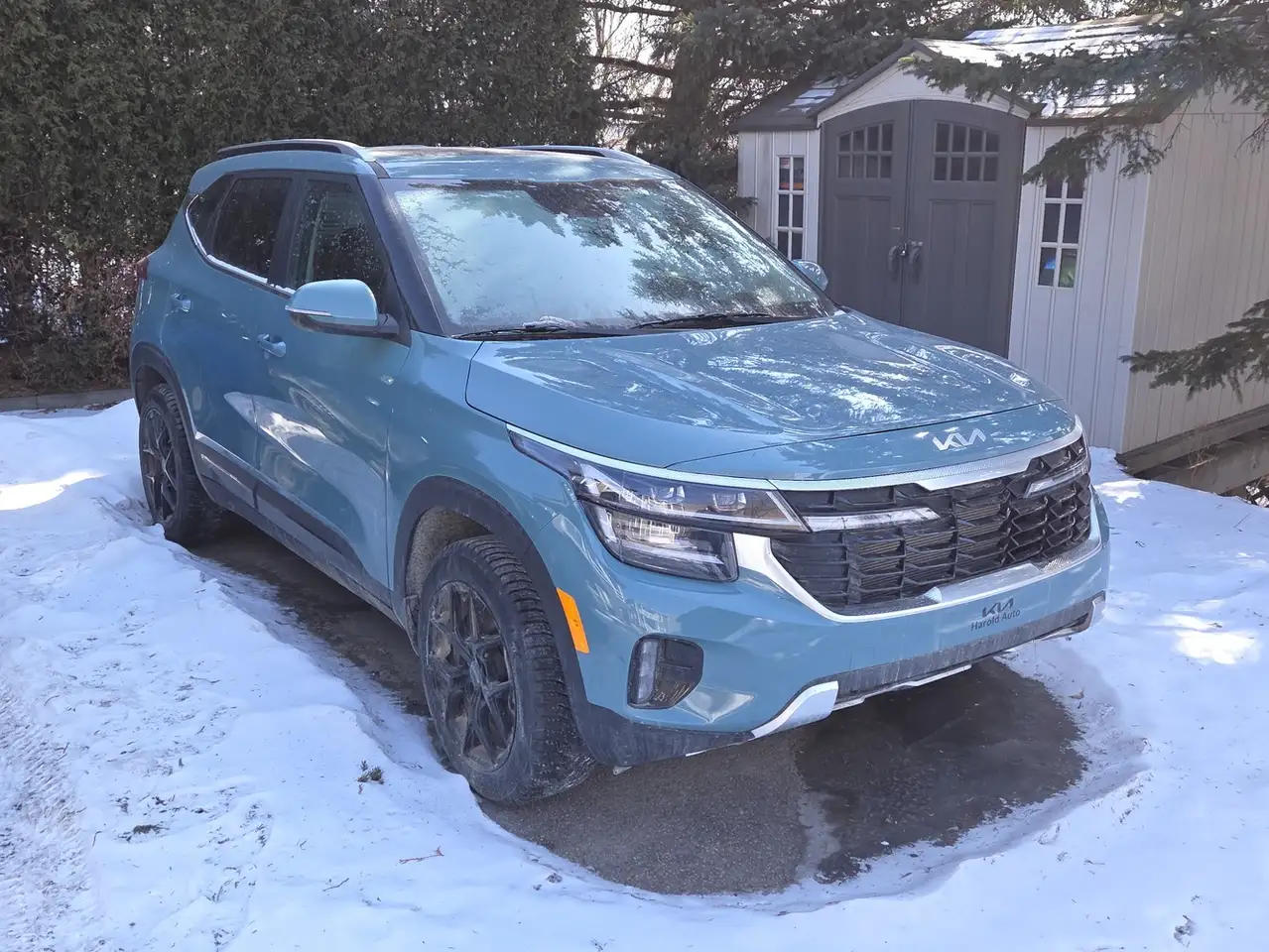 2026 Kia Seltos