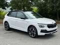 Skoda Kamiq 1.5 TSI ACT DSG Monte Carlo Navi Matrix Rot - thumbnail 30