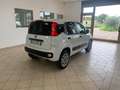 Fiat Panda Panda Van 4x4 0.9 TwinAir Turbo Blanc - thumbnail 5