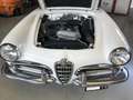 Alfa Romeo Giulia Spyder Veloce Weiß - thumbnail 5
