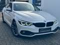 BMW 420 420 D Gran Coupe Sport Line HeadUp Navi LED Shzg White - thumbnail 13