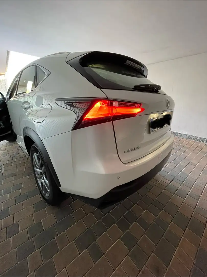Lexus NX 300h icon Bianco - 2