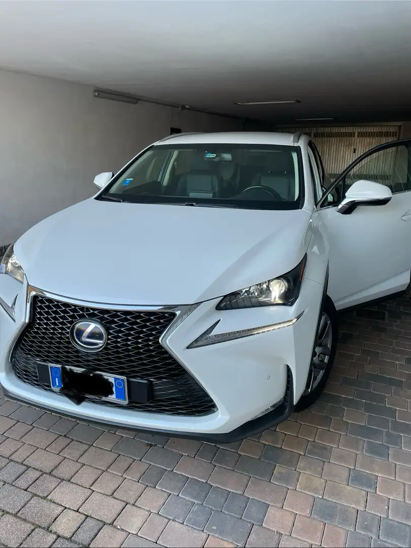 Lexus NX 300h icon Bianco - 1