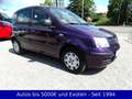 Fiat New Panda 1.2 - Tüv Neu Violett - thumbnail 3
