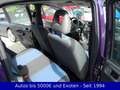 Fiat New Panda 1.2 - Tüv Neu Violett - thumbnail 12