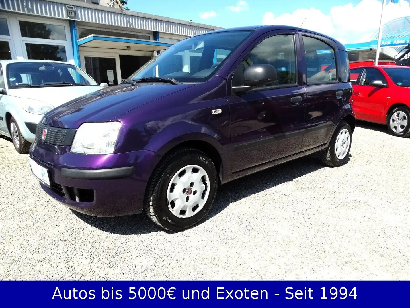 Fiat New Panda 1.2 - Tüv Neu Violett - 1