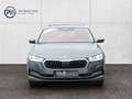 Skoda Octavia Style TDI DSG Grau - thumbnail 2