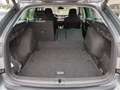 Skoda Octavia Style TDI DSG Grau - thumbnail 12