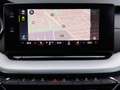 Skoda Octavia Style TDI DSG Grau - thumbnail 22