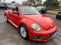 Volkswagen Beetle Cabriolet Design AUTOMATIK Rouge - thumbnail 5