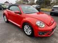 Volkswagen Beetle Cabriolet Design AUTOMATIK Rouge - thumbnail 4