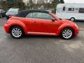 Volkswagen Beetle Cabriolet Design AUTOMATIK Rouge - thumbnail 6