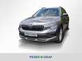 Skoda Kamiq 1.0 TSI Selection CarPlay Navi PDC Sitzh. Gris - thumbnail 1