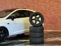 SEAT Ibiza Cupra*Pano*Navi*Alcantara*FR Sportsitze*Bi-Xenon* Blanc - thumbnail 40