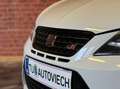 SEAT Ibiza Cupra*Pano*Navi*Alcantara*FR Sportsitze*Bi-Xenon* Blanc - thumbnail 4