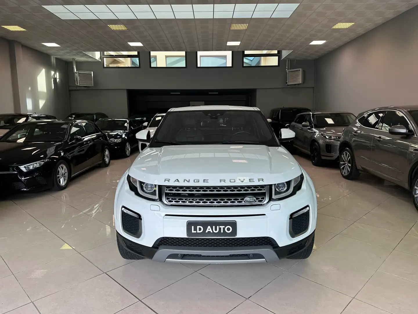 Land Rover Range Rover Evoque Range Rover Evoque 2.0 td4 150cv TETTO PANORAMICO - 2