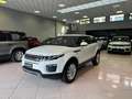 Land Rover Range Rover Evoque Range Rover Evoque 2.0 td4 150cv TETTO PANORAMICO - thumbnail 3