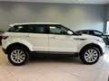 Land Rover Range Rover Evoque Range Rover Evoque 2.0 td4 150cv TETTO PANORAMICO - thumbnail 7