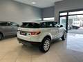 Land Rover Range Rover Evoque Range Rover Evoque 2.0 td4 150cv TETTO PANORAMICO - thumbnail 4