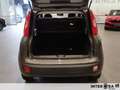 Fiat New Panda Panda 1.0 firefly hybrid s&s 70cv Grau - thumbnail 6