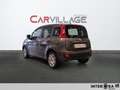Fiat New Panda Panda 1.0 firefly hybrid s&s 70cv Grau - thumbnail 7
