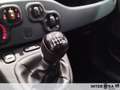 Fiat New Panda Panda 1.0 firefly hybrid s&s 70cv Grau - thumbnail 15