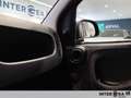 Fiat New Panda Panda 1.0 firefly hybrid s&s 70cv Grau - thumbnail 16