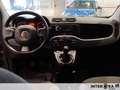 Fiat New Panda Panda 1.0 firefly hybrid s&s 70cv Grau - thumbnail 8