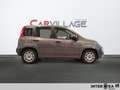 Fiat New Panda Panda 1.0 firefly hybrid s&s 70cv Grau - thumbnail 4