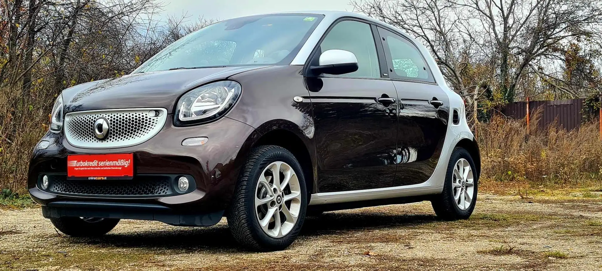 smart forFour Passion Pickerl 05/2025+4 Bruin - 2