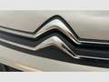 Citroen Berlingo Talla M BlueHDi 100 S&S SHINE - thumbnail 20
