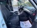 Ford Galaxy Business Plus 2,0 TDCi Aut.*12 Monate Garantie* Weiß - thumbnail 19