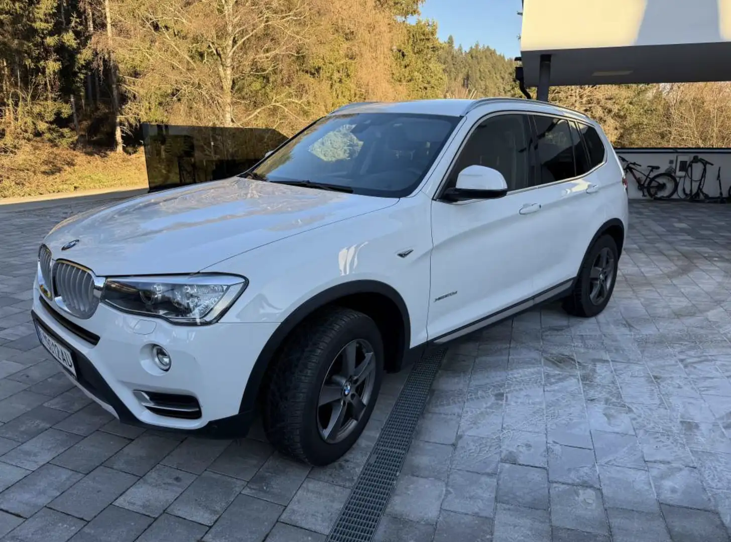 BMW X3 X3 xDrive 20d xLine Aut. xLine Weiß - 2