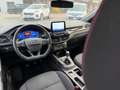 Ford Kuga 1.5 EcoBlue 120 CV 2WD ST-Line Grigio - thumbnail 12