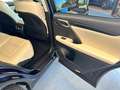 Lexus RX 450h h AWD*Executive*Led*Head-Up*Leder Blau - thumbnail 22