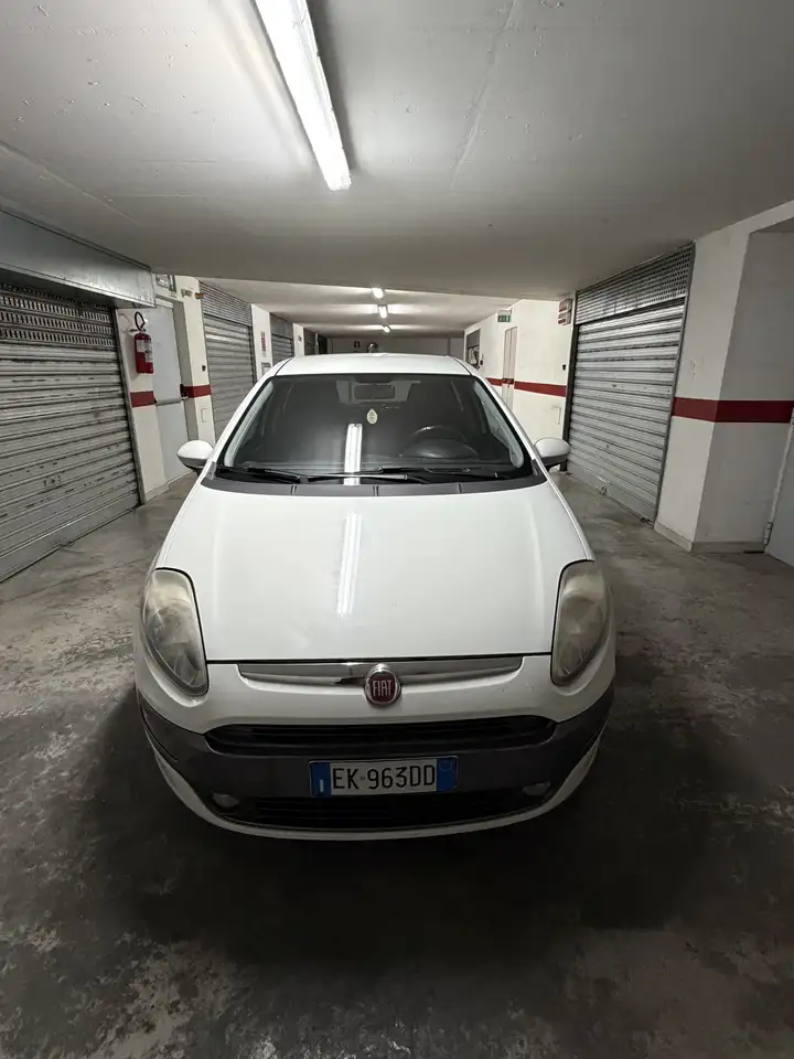 Fiat Punto Evo