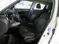 Nissan Juke 1.5 DCI 110 CV ACENTA Bianco - thumbnail 12