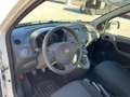 Fiat Panda Panda II 2003 1.2 Climbing 4x4 69cv E5 Bianco - thumbnail 9