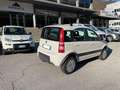 Fiat Panda Panda II 2003 1.2 Climbing 4x4 69cv E5 Bianco - thumbnail 3