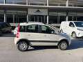 Fiat Panda Panda II 2003 1.2 Climbing 4x4 69cv E5 Bianco - thumbnail 5