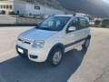 Fiat Panda Panda II 2003 1.2 Climbing 4x4 69cv E5 Bianco - thumbnail 1