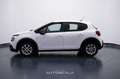Citroen C3 1.2 PureTech 83cv S&S Business Bianco - thumbnail 3