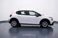Citroen C3 1.2 PureTech 83cv S&S Business Bianco - thumbnail 7